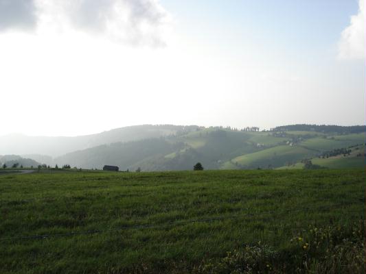 hochschwarzwald 1